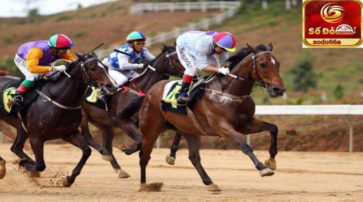 Đua Ngựa Sodo66 – Trải Nghiệm Thể Thao Vương Giả Tại Việt Nam
