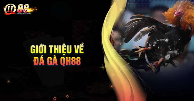 Hướng Dẫn Chơi Đá Gà QH88 Dễ Dành Chiến Thắng Mới Nhất 2024