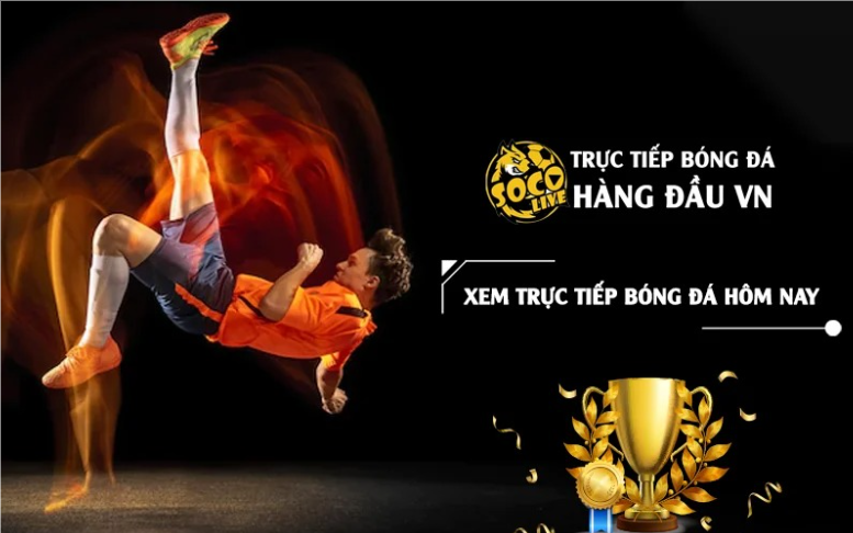 Mi Tom TV – Nơi xem trực tiếp Cúp C1 đầy đủ và chất lượng nhất