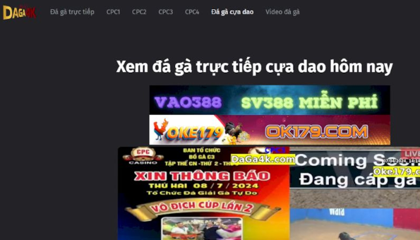 Daga4k | Website live đá gà Campuchia hot hàng đầu hiện nay