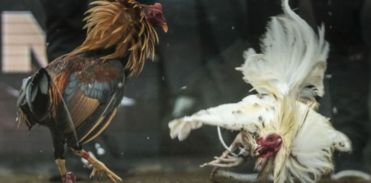 Chơi game bài iWin Club - Đổi thưởng ngay, đỉnh cao giải trí