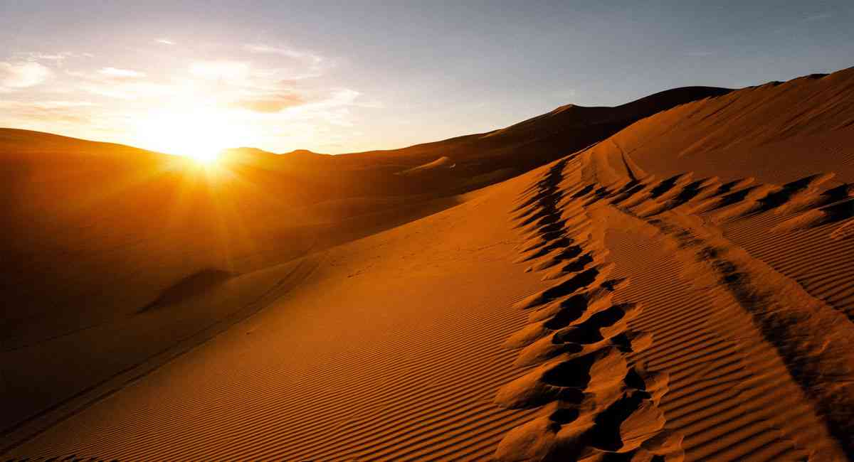 Chiêm ngưỡng top những sa mạc lớn nhất thế giới: Bất ngờ với vị trí đầu tiên