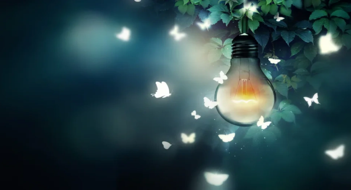 Con thiêu thân là gì? Những bí ẩn về tập tính lao thân vào nơi có ánh sáng của chúng?